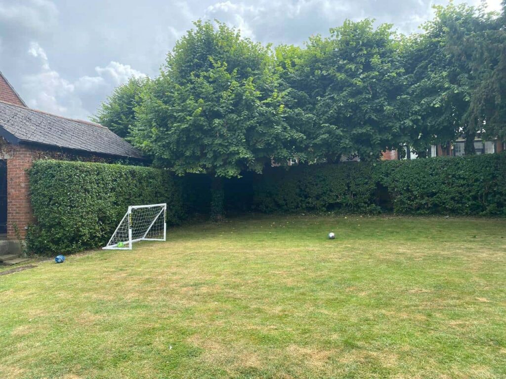 This is a photo of a hedge that has just been trimmed in a garden. The hedge is about 8 Metres long and runs along the back and left hand side of the garden iteslf. There are also trees in the background, and a house. Photo taken by Sudbury Tree Surgeons.